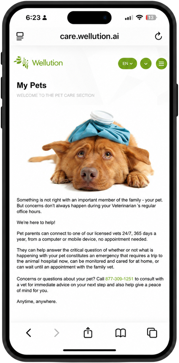 Pet care