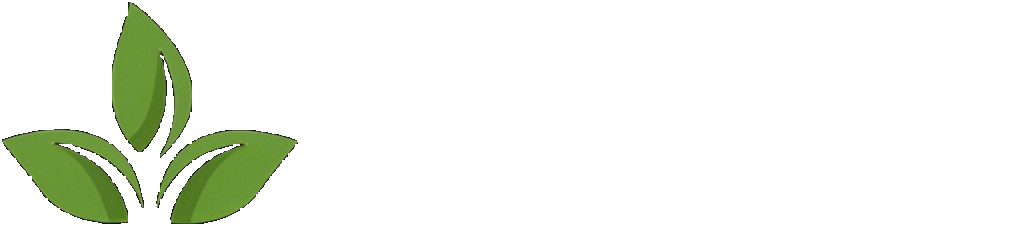 Century Health logo
